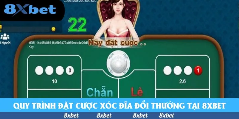 Quy trình đặt cược xóc đĩa trực tuyến tại 8xbet nhanh – rõ – minh bạch.